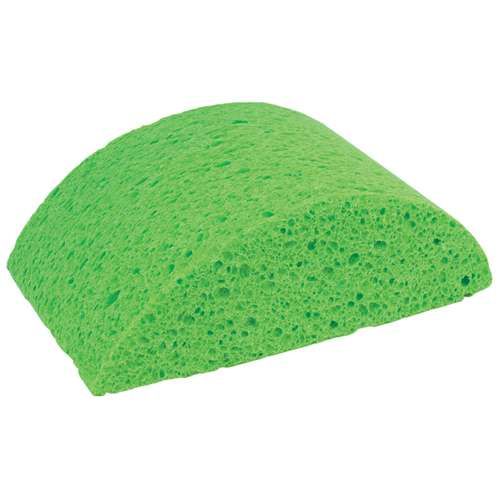 HD10T- Turtleback Sponge